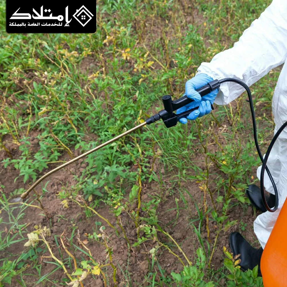 شركة رش مبيدات بالرياض