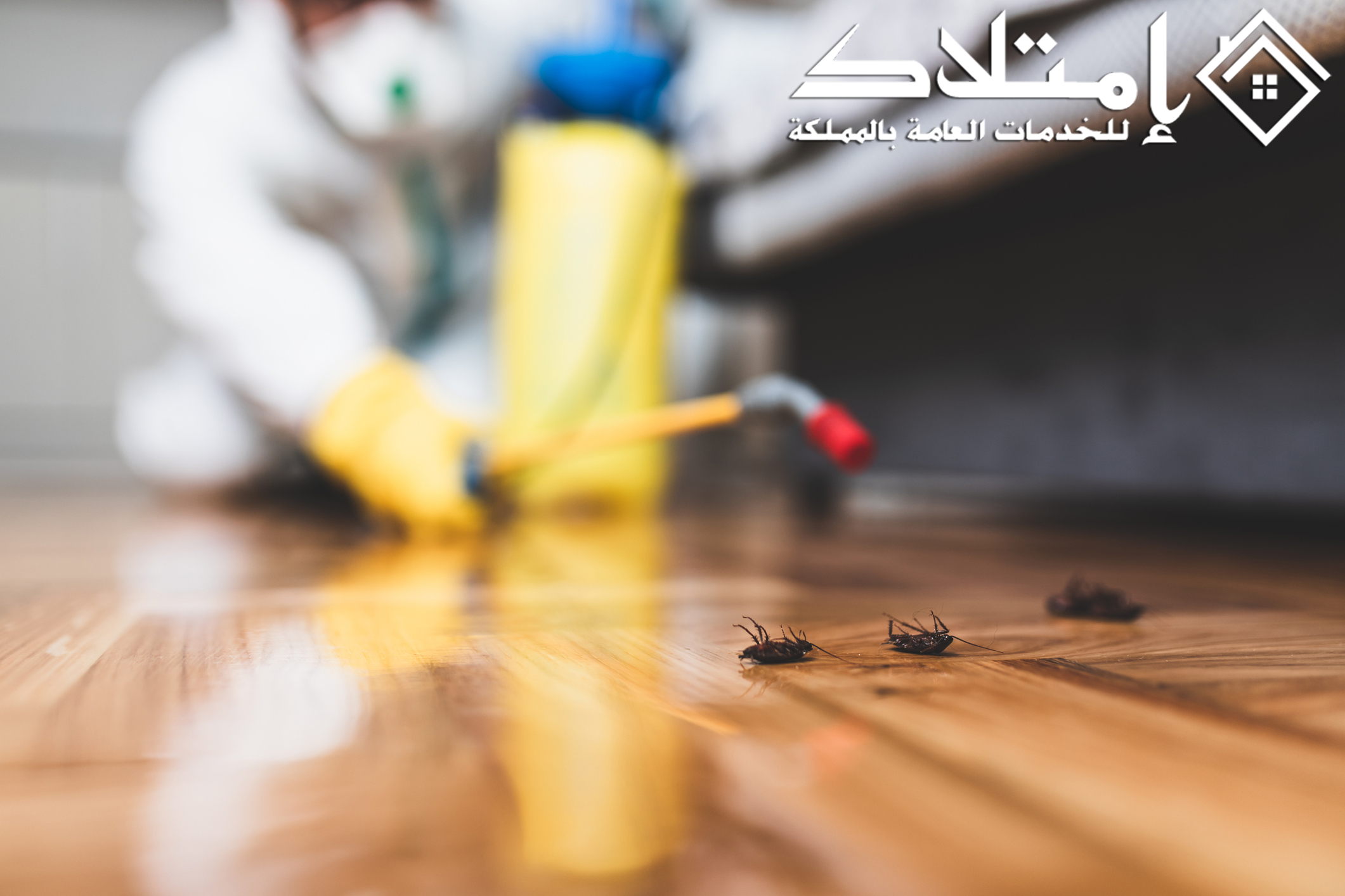 مكافحة حشرات ورش مبيدات